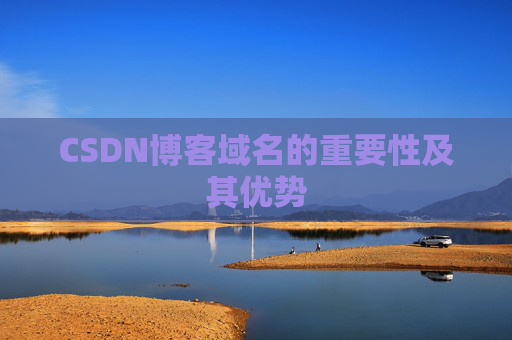 CSDN博客域名的重要性及其优势
